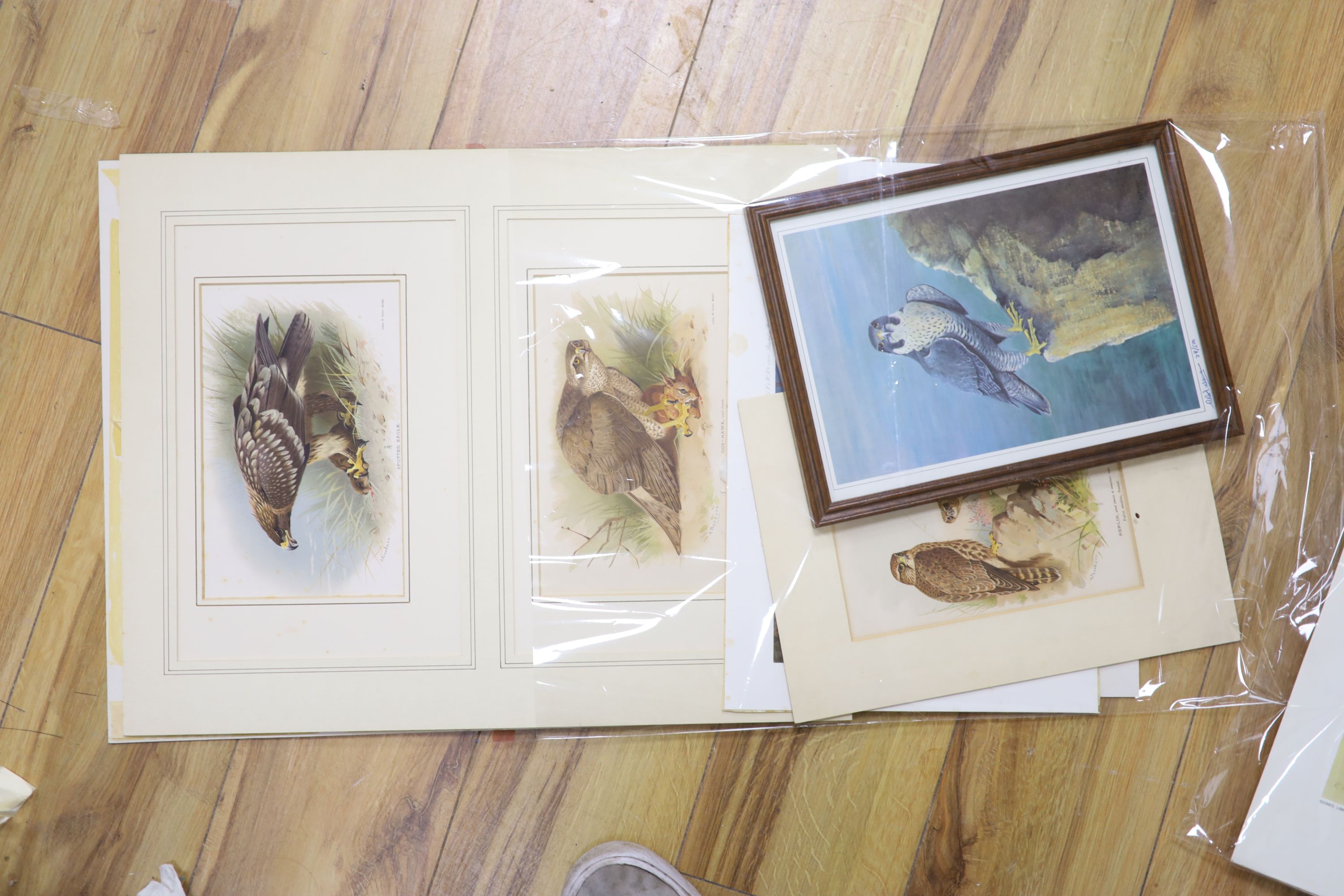 A collection of framed and unframed wildlife prints after Archibald Thorburn, David Digby and others